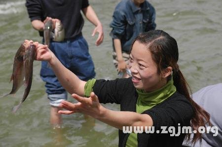 梦见抓到鱼