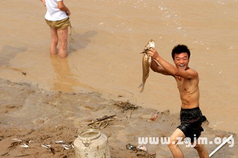 梦见捡鱼