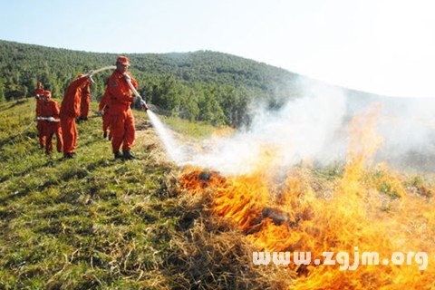 梦见用水浇火