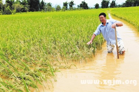 梦见水淹 溺水