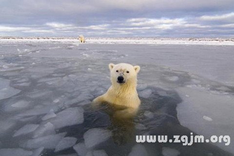 梦见掉河里 掉水里