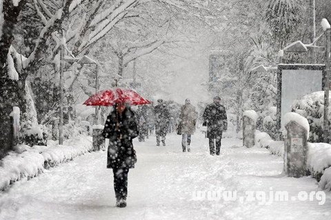 梦见雪 下雪