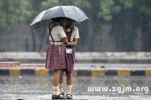 梦见雨中